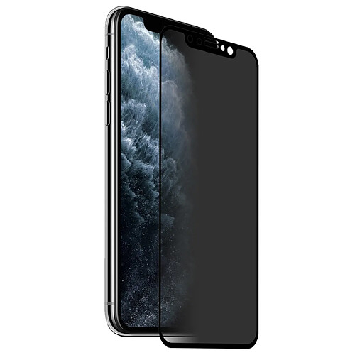 Wewoo Film de verre trempé de plein écran anti-éblouissement pour iPhone 11 Pro / XS / X 0.26mm 9H 2.5D Privacy