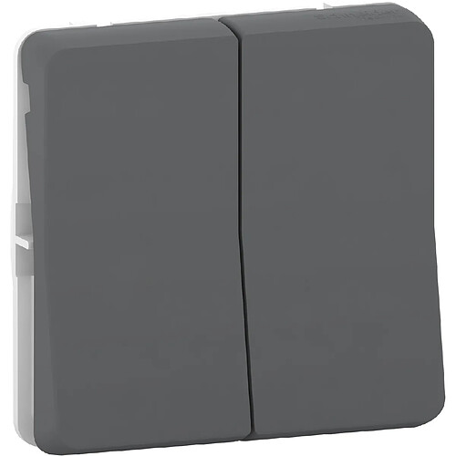 bouton poussoir - double - gris - composable - schneider electric mur35326