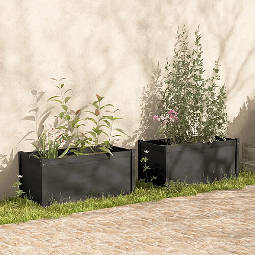 vidaXL Jardinières 2 pcs Gris 100x50x50 cm Bois de pin massif