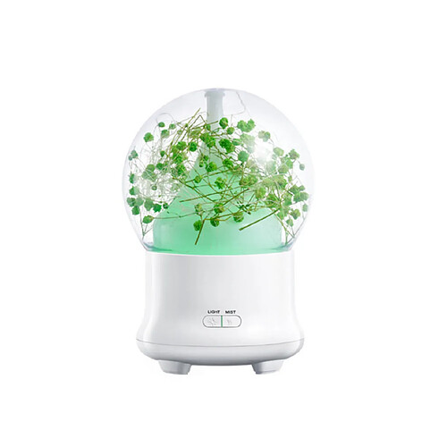 YP Select Diffuseur d'huiles essentielles de machine d'aromathérapie d'humidification - 4