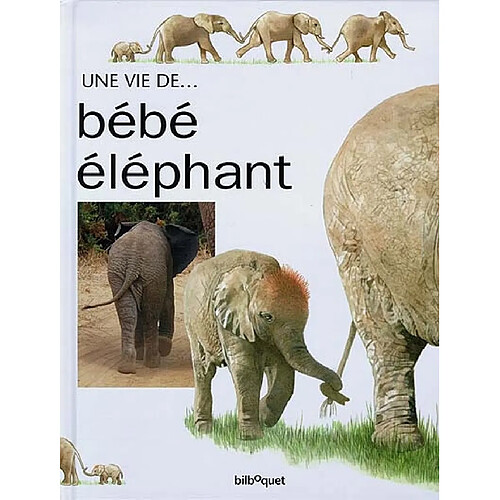 Bébé Eléphant · Occasion