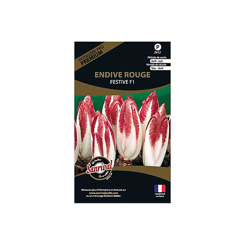 Sanrival Graines potagères premium endive rouge festive