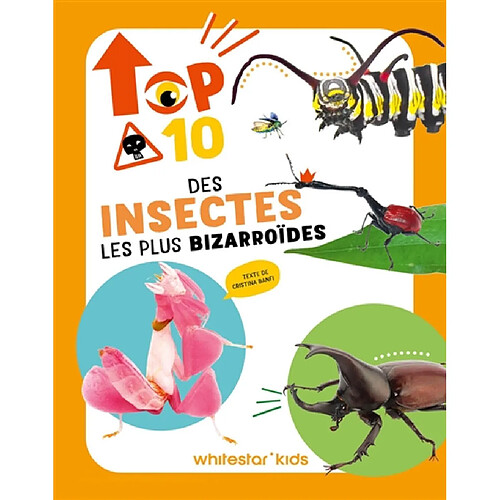 Top 10 des insectes les plus bizarroïdes