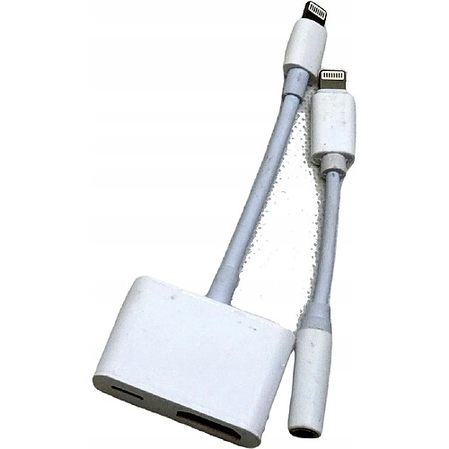 GUPBOO Adaptateur Lightning HDMI iPhone iPad + audio gratuit,JL529