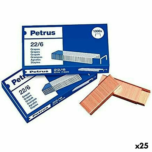 Agrafes Petrus 22/6 6 mm (25 Unités)