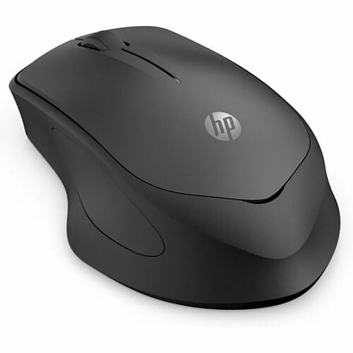 Souris HP 6G4E6AA Noir