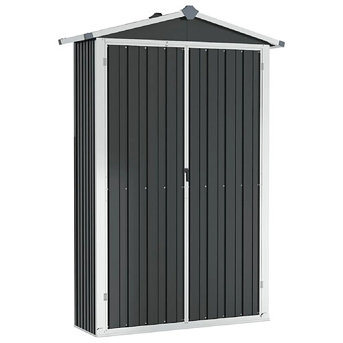 Helloshop26 Abri de jardin cabane cabanon maison de stockage remise extérieur hangar outils robuste 116 x 45 x 175 cm acier galvanisé anthracite 02_0022179