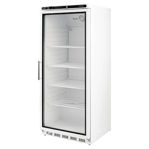 Armoire Réfrigérée Vitrée Professionnelle 600 L - Positive - Polar