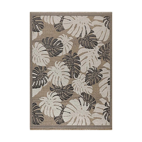 Jardindeco Tapis intérieur extérieur aspect jute noir Tijuana 9062 noir 230 x 160 cm.