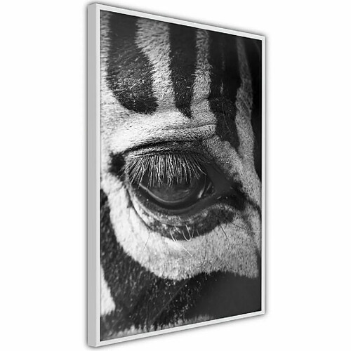 Paris Prix Affiche Murale Encadrée Zebra Is Watching You 40 x 60 cm Blanc