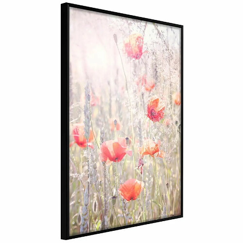 Paris Prix Affiche Murale Encadrée Poppies 40 x 60 cm Noir