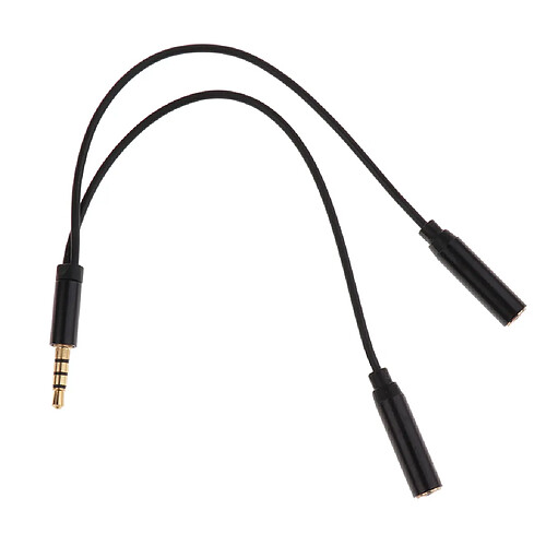 3.5mm Mâle à 2 Câble D'adaptateur Audio Femelle Pour Des Pièces D'ampli D'amplificateur De Guitare