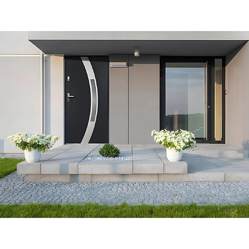 Vente-Unique Porte d'entrée en acier vitrée avec inox H207 x L100 cm anthracite - poussant droit - TROFA