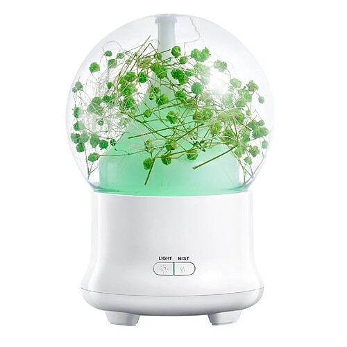 Wewoo Humidificateur d'Air vert pour Bureau / Accueil 100 ML Gypsophila Fleurs Aromathérapie Diffuseur avec Coloré LED Lumière