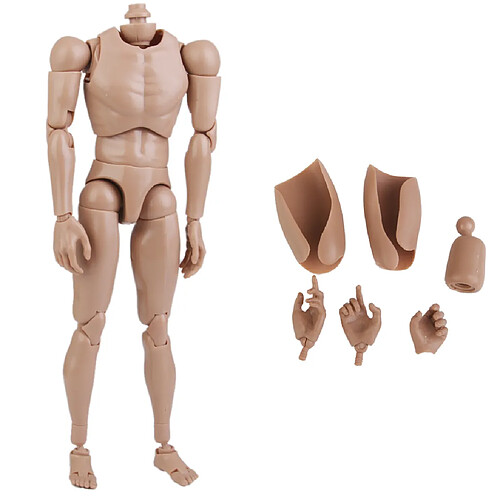 Épaule Large 1: 6 Scale Action Figure Mâle Aucun Jouet De Corps De Cou Pour TTM18 TTM19