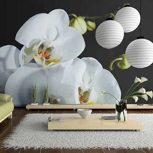 Paris Prix Papier Peint Phalaenopsis 270x450cm