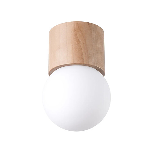 Sollux Downlight moderne monté en surface en bois de 19 cm 1x G9