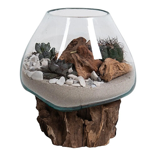 EPIKASA Terrarium San