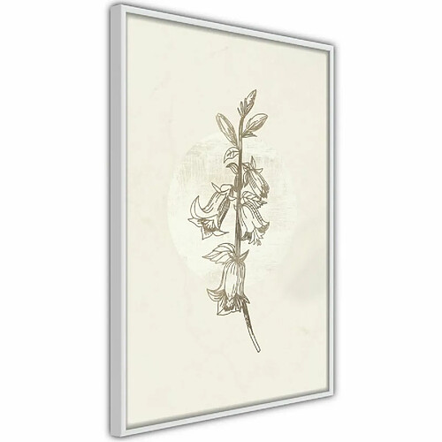 Paris Prix Affiche Murale Encadrée Beige Campanula 40 x 60 cm Blanc