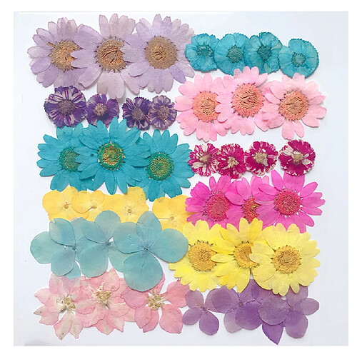 Fleurs Séchées Naturelles Scrapbooking Embellissements Artisanat Pour Décors D'art D'ongle