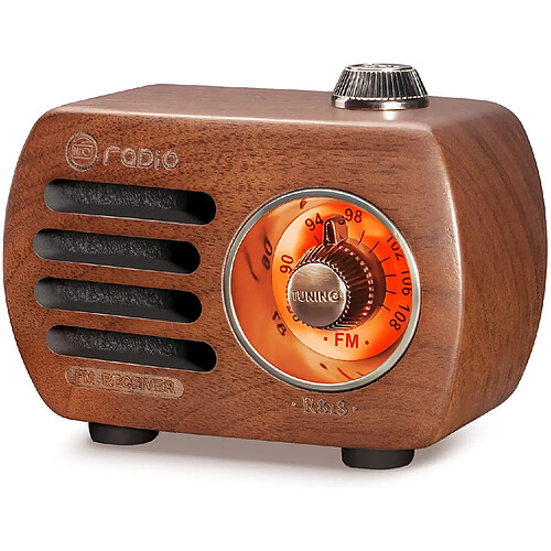 PRUNUS radio portable FM bluetooth AUX marron