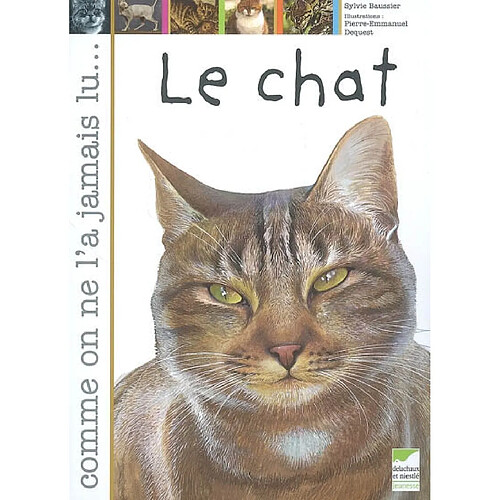 Le chat · Occasion