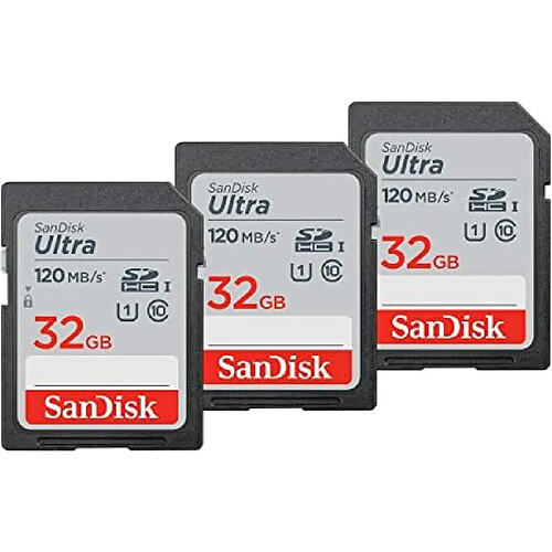 Sandisk Carte Mémoire SDHC SDSDUN4-032G-GN6IM (Reconditionné A)