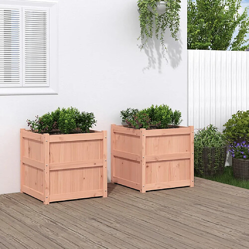 vidaXL Jardinières 2 pcs bois massif douglas