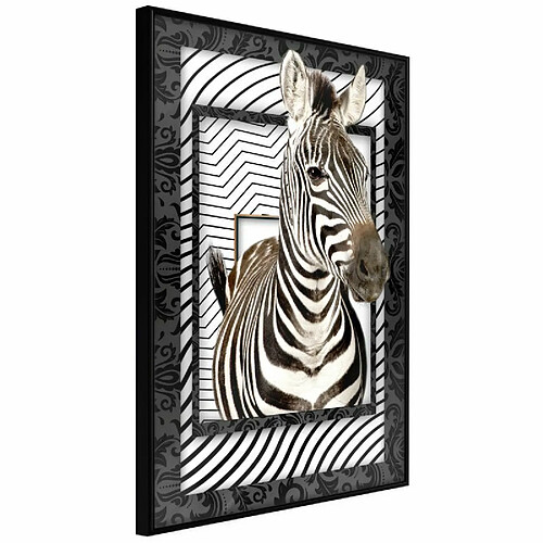 Paris Prix Affiche Murale Encadrée Zebra in the Frame 30 x 45 cm Noir