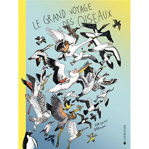 Le grand voyage des oiseaux