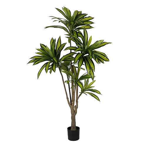 BigBuy Home Plante décorative Caoutchouc polypropylène 100 x 100 x 200 cm