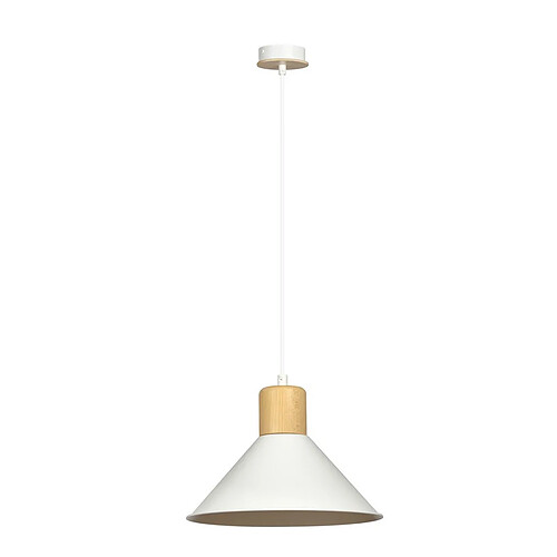 EPIKASA Suspension Rowen, Blanc, Acier, 25x100x25 cm