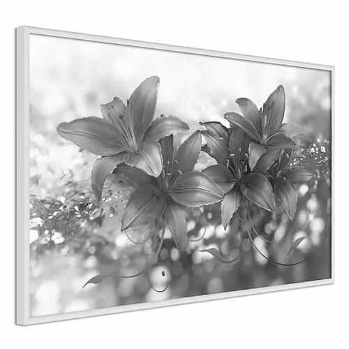 Paris Prix Affiche Murale Encadrée Dark Lillies 90 x 60 cm Blanc