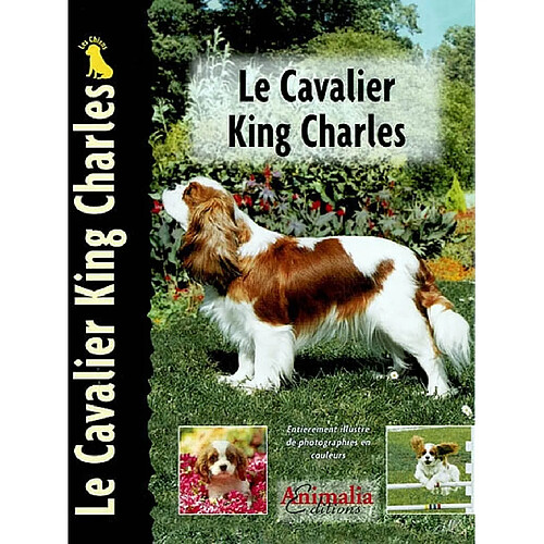 Le cavalier king charles · Occasion