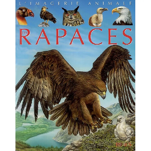 Les rapaces · Occasion