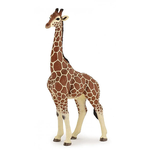 50149 girafe mâle figurine papo