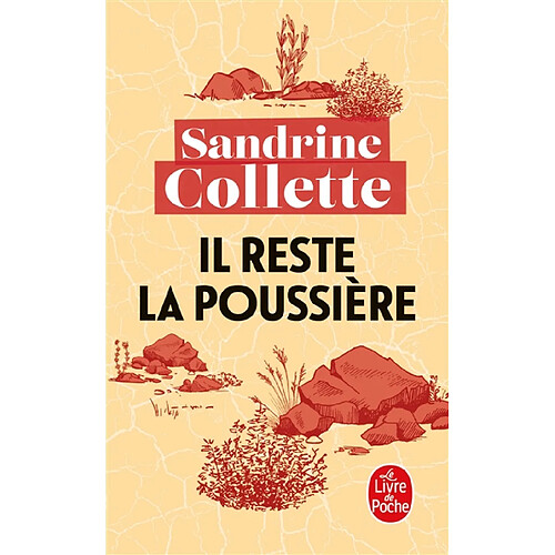 Il reste la poussière · Occasion