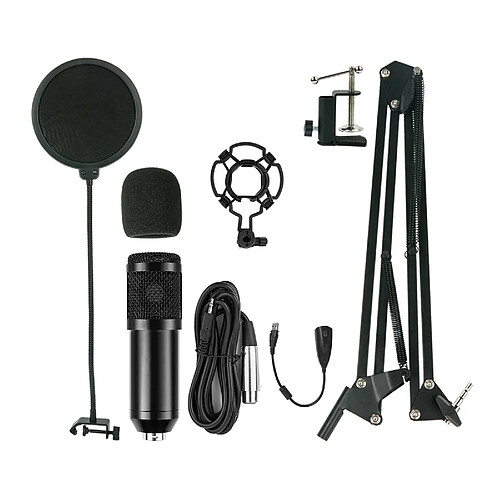 Professionnel D'enregistrement Microphone À Condensateur Kit Ordinateur Cardioïde Mic Ciseaux Bras Shock Mount