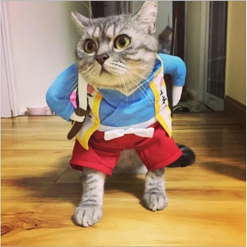 Wewoo Costume de chien drôle de chat uniforme vêtements de de chiot habiller de soirée pour les de cosplay chattaille L couteau Samurai