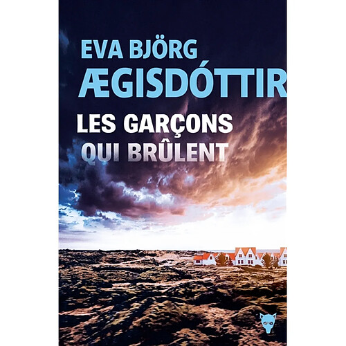 Les garçons qui brûlent · Occasion