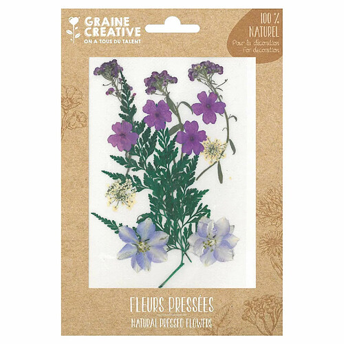 Graines Creatives 13 fleurs pressées - prairie violette