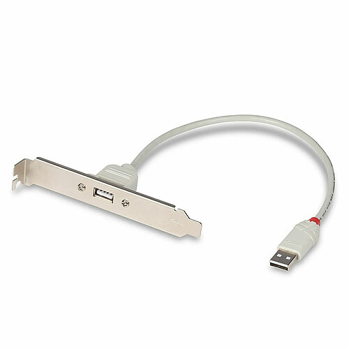 Câble USB A vers USB B LINDY 33123 Blanc