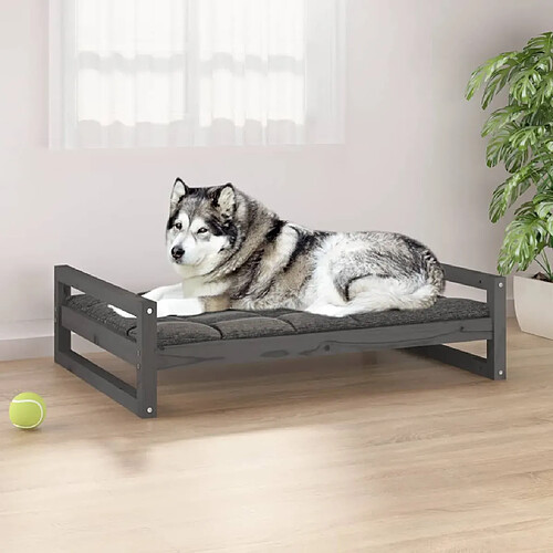 vidaXL Lit pour chien Gris 105,5x75,5x28 cm Bois de pin solide