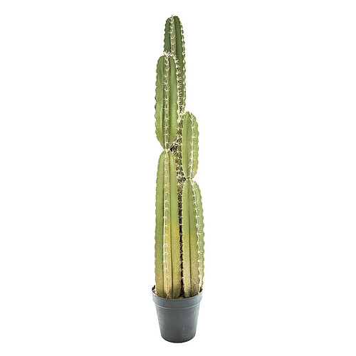 Atmosphera, Createur D'Interieur Cactus Pin