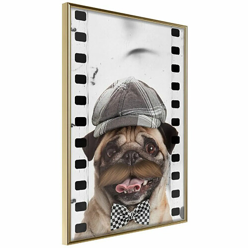 Paris Prix Affiche Murale Encadrée Dressed Up Pug 30 x 45 cm Or