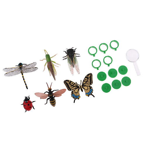 6 Pièces Mini Figurines Animaux Insectes en Plastique avec Loupe Piédestal et Anneau Science Modèle Enfants Jouets