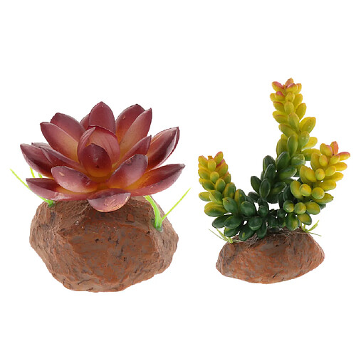 2Pack Plante Succulente Avec Ornement Vivarium Terrarium Vivarium Terrarium à Base De Résine