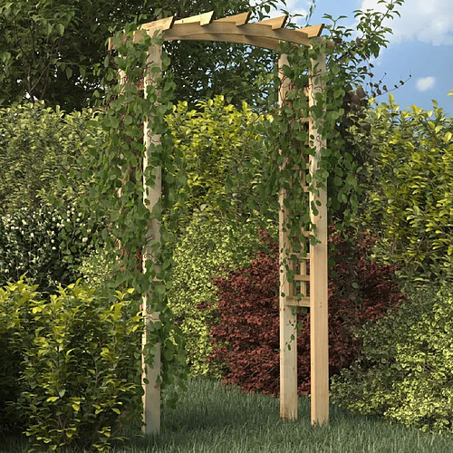 vidaXL Arche en treillis 110x60x210 cm Bois de pin massif imprégné