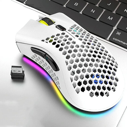 Yonis Souris Gaming RGB Sans Fil Ultra Légère