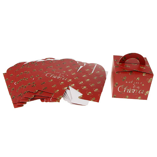 Boîtes de 10 Pommes de Noël avec Pommes Bonbons 3.5''x3.5''4.7 '' Feuilles de Noël rouges